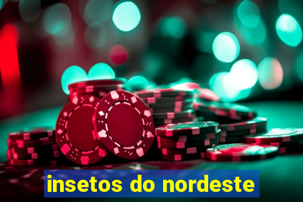 insetos do nordeste